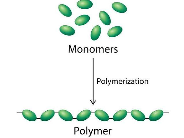 <p>Monomer</p>