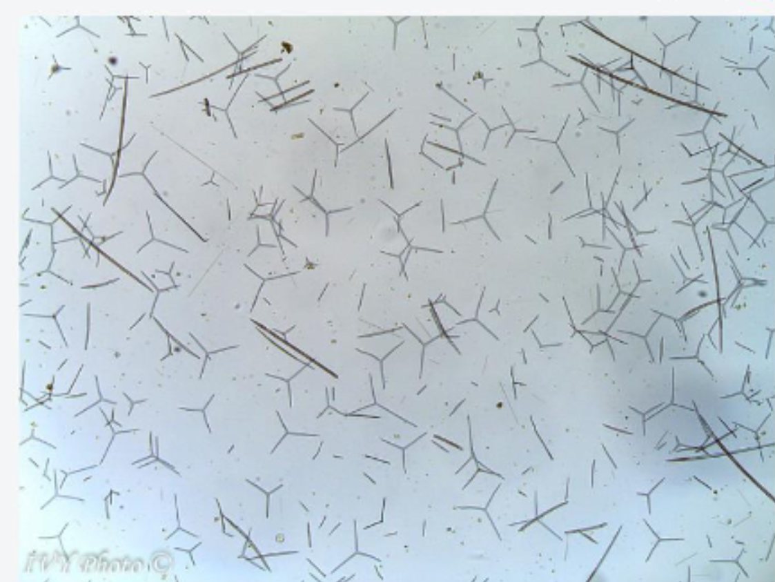 <p>what is this </p>