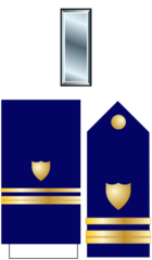 <p>The collar device is a silver bar. The shoulder board is blue with a gold shield, half line, and line.</p>