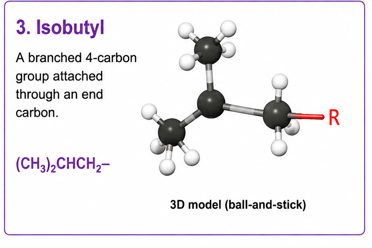 <p><strong>Isobutyl</strong></p><p><strong>(CH₃)₂CHCH₂–</strong></p><ul><li><p><strong>(CH₃)₂</strong> = 2 carbons</p></li><li><p><strong>CH</strong> = 1 carbon</p></li><li><p><strong>CH₂</strong> = 1 carbon</p></li></ul><p><strong>2 + 1 + 1 = 4 carbons</strong> <span data-name="check_mark_button" data-type="emoji">✅</span></p>