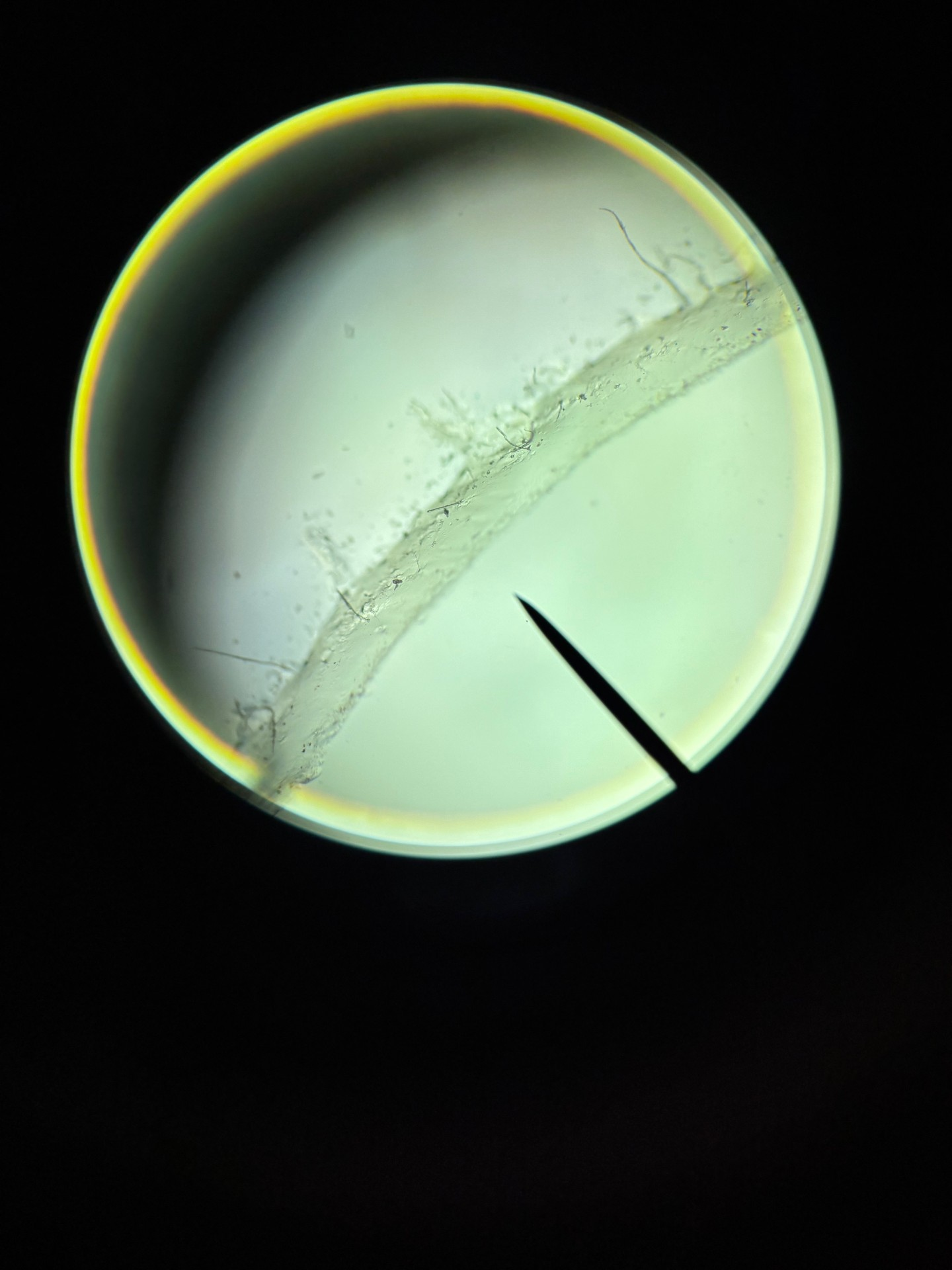<p>What is this?</p>