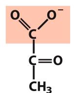<p>What is this structure?</p>