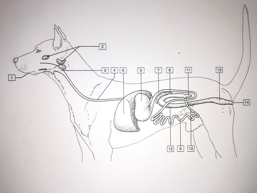 <p>What is number 8?</p>
