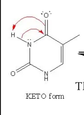 <p>Keto and it forms a hydrogen bond with adenine</p>