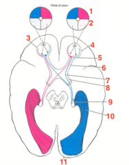 <p>What is 10?</p>