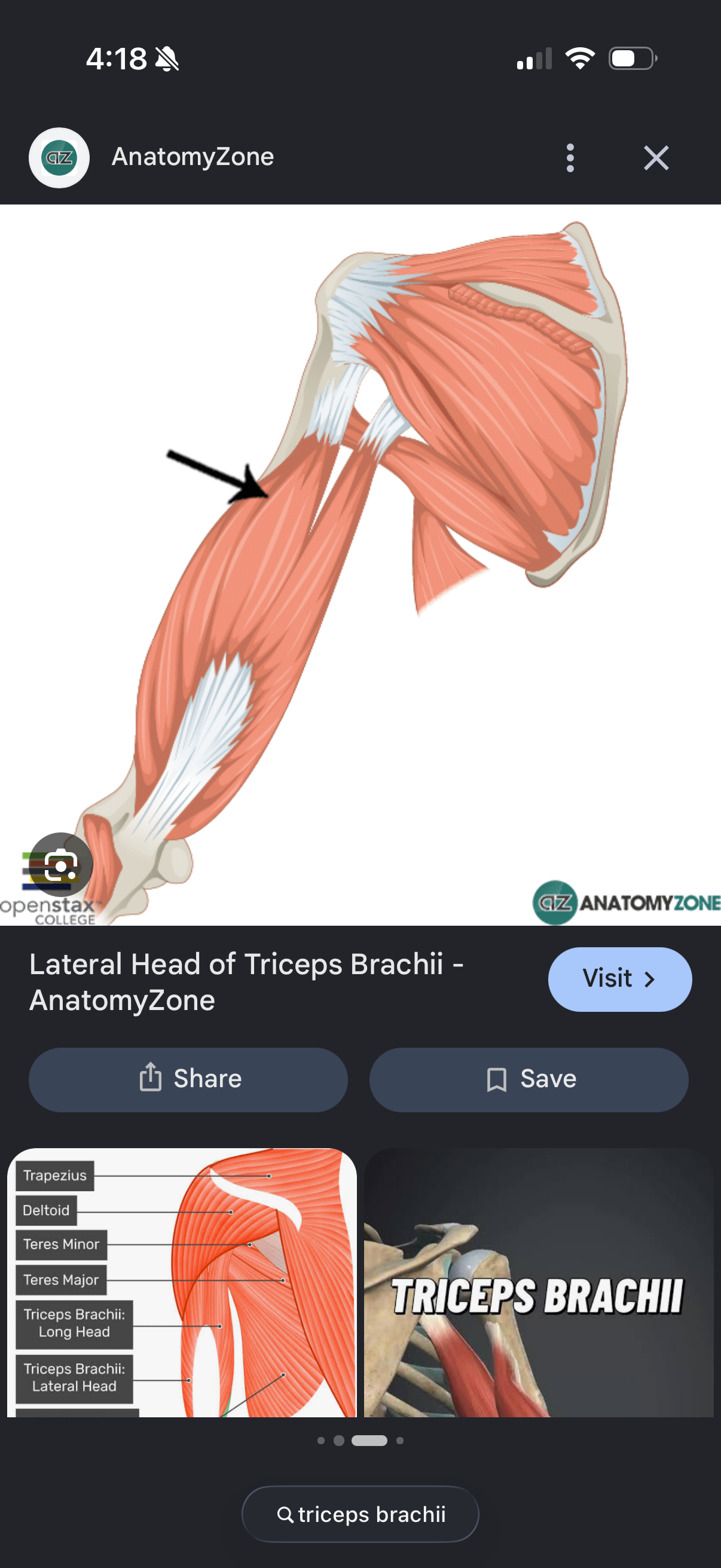 knowt flashcard image
