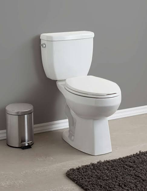 <p>Toilet bowl </p>
