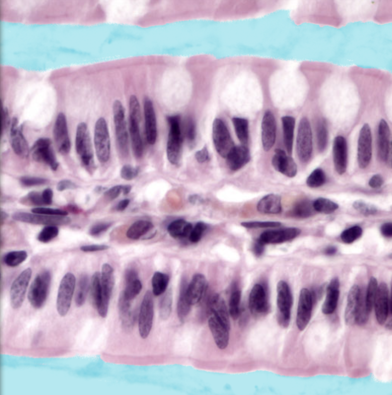<p>What is highlighted</p>