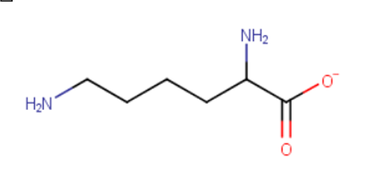 <p>H2N + NH2 + O- + =O</p>