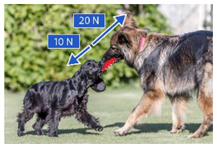 <p>A force without an equal and opposite force acting on the same object; these forces change an object's motion or shape.</p>