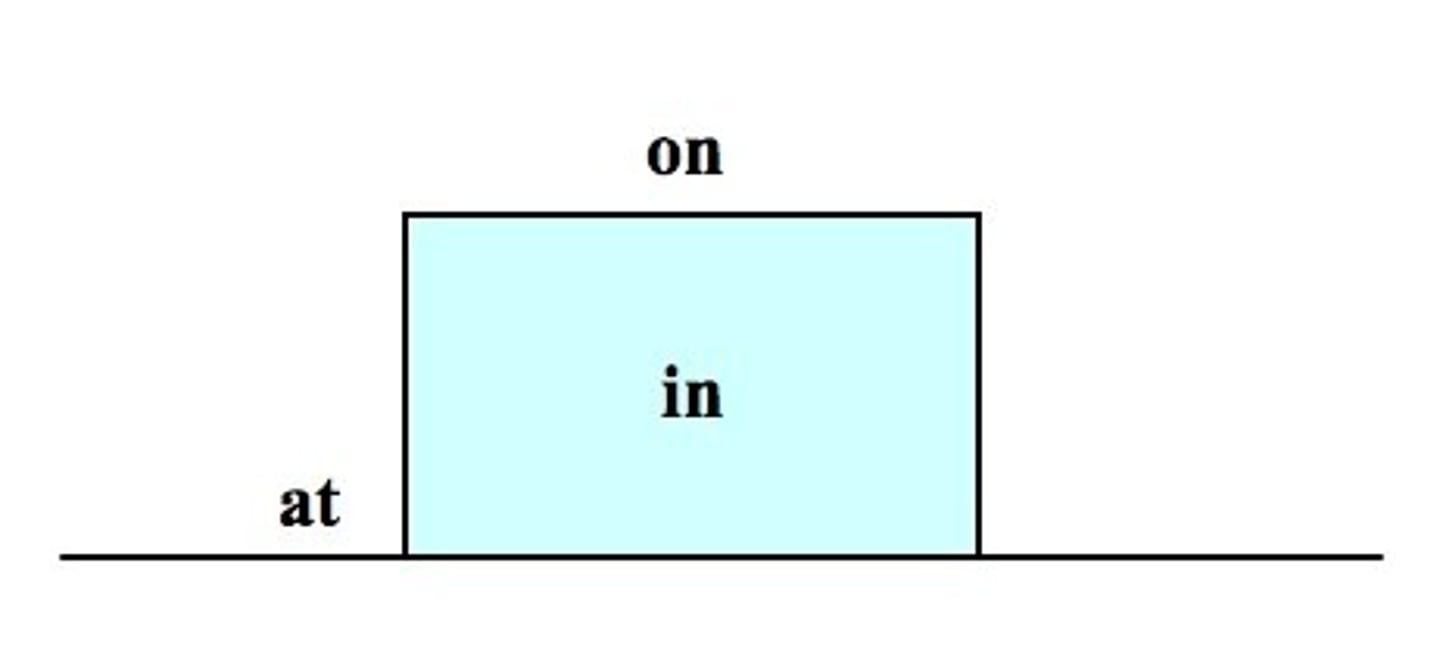 <p>ở</p>