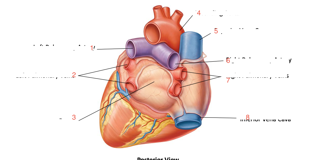 <p>3</p>