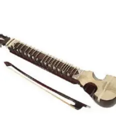 <ul><li><p>upright bowed fiddle</p></li><li><p>multiple strings and fretza</p></li></ul><p></p>