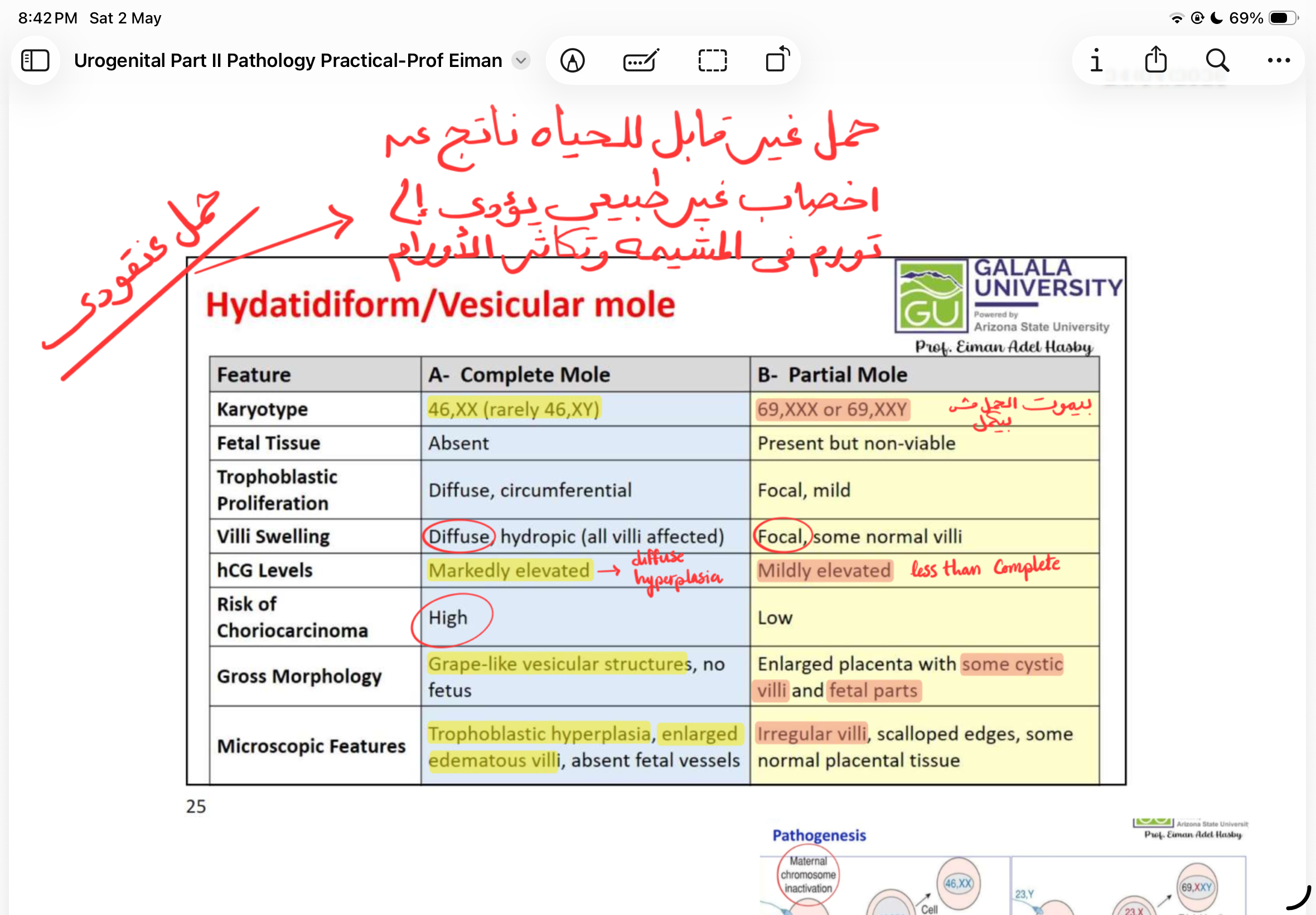 knowt flashcard image