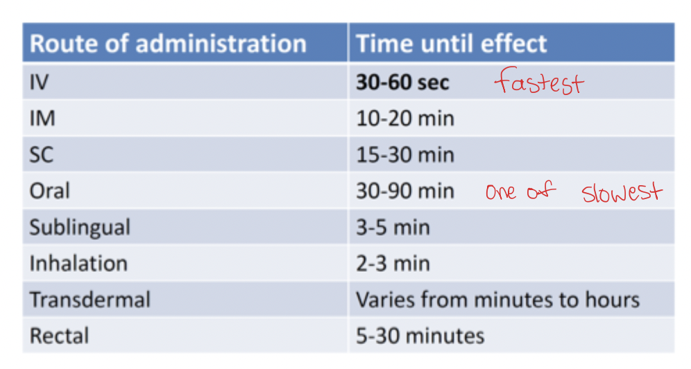 <ul><li><p>IV → fastest</p></li><li><p>Inhalation</p></li><li><p>Sublingual</p></li><li><p>Rectal</p></li><li><p>IM &amp; SC</p></li><li><p>Oral → one of the slowest</p></li><li><p>Transdermal </p></li></ul><p></p>