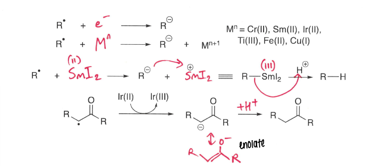 <p>An electron is transferred to the radical, forming a anion. This then reacts with a H+, forming a neutral molecule.</p>