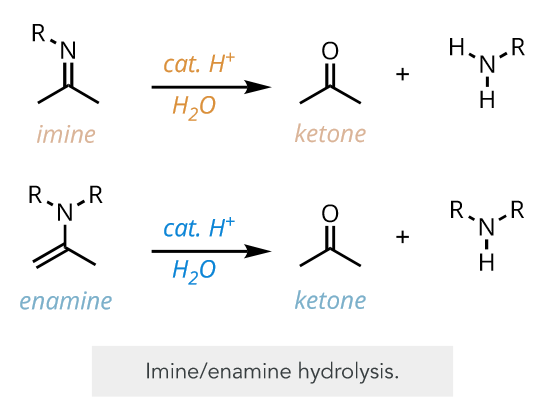 <p>a ketone</p>