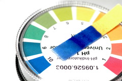 <p>A piece of paper that changes colors depending on the amount of H+ ions in a solution and indicates the pH of the solution</p>