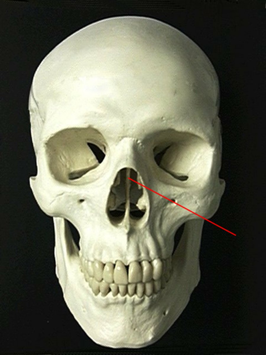 <p>ID STRUCTURE</p>