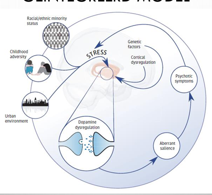 <p>stress heeft veel invloed</p>