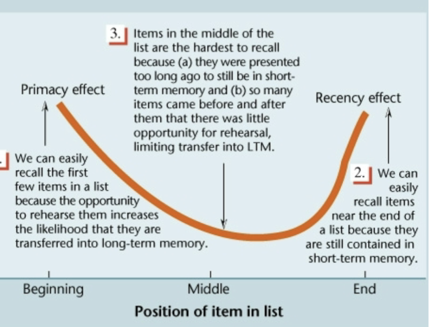 <p>reflects availability of information still in short-term memory</p><ul><li><p>the items at end of list are still contained in STM so easily recalled</p></li><li><p>STM evidence</p></li></ul><p></p>