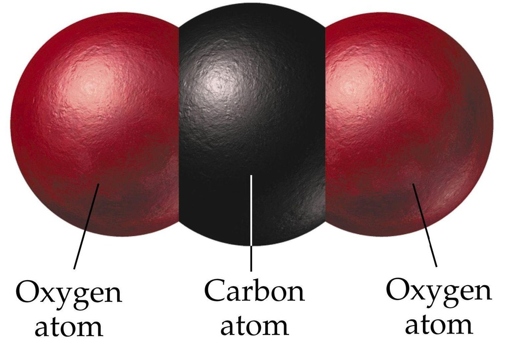 <p><span>carbon dioxide (#1 manmade greenhouse gas - GHG) </span></p>