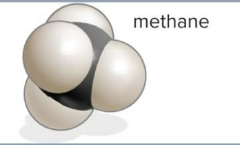 <p>molecule</p>