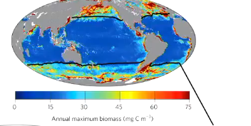 <p></p><p>Most activity is at higher latitudes and not in temperate or tropical regions due to mixing conditions</p>