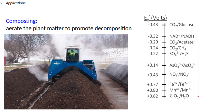 <p>Composting and Wastewater Treatment: Aerate the plant matter to promote?</p>