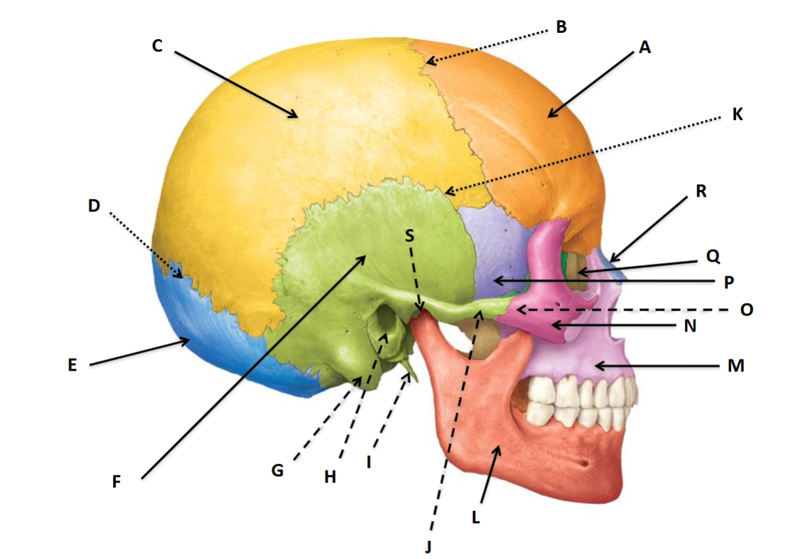 <p>O</p>