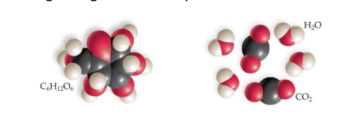 <p><span>This is a multiple answer question. Choose all that are correct. Choosing incorrect questions will subtract from the grade on this question. However, you cannot receive a negative grade on the question.<br>In this diagram, the molecule on the left<br>A. has a less stable configuration.<br>B. has more potential energy.<br>C. is more organized.<br>D. is less organized.<br>E. has less potential energy.<br>F. has a more stable configuration.</span></p>