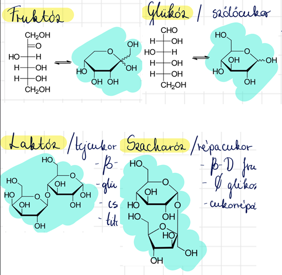 <p>fruktóz <br>glükóz <br>laktóz <br>szacharóz</p>