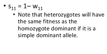<ul><li><p>difference in fitness between one genotype and another</p></li></ul><p></p>