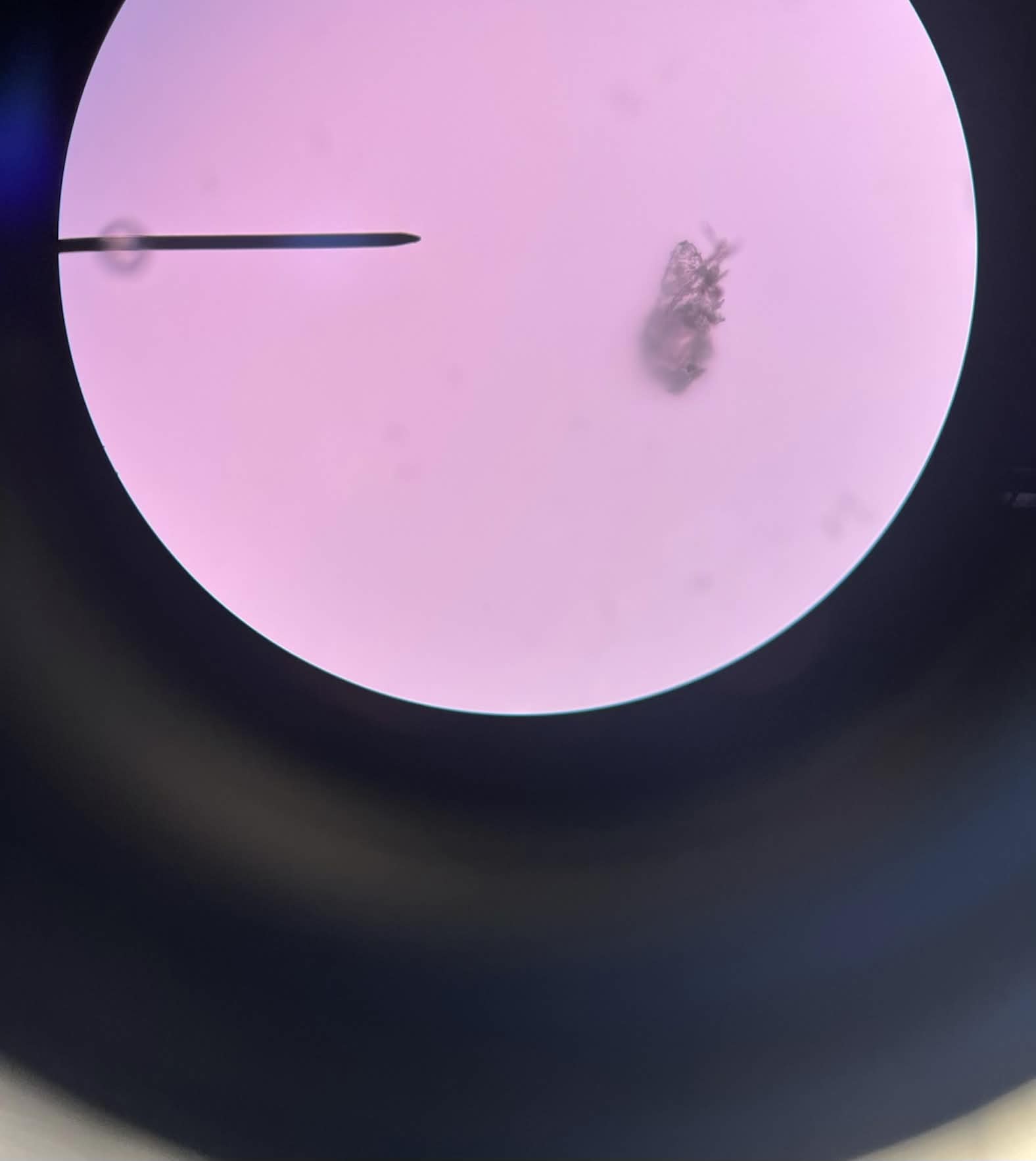 <p>What is this?</p>