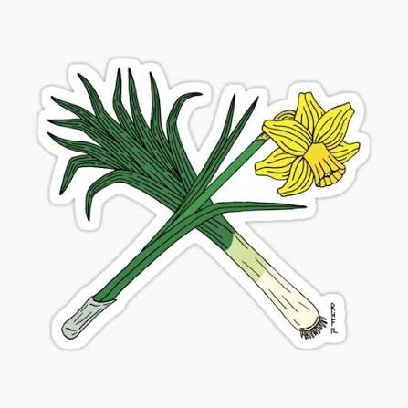 <p>From which country is this symbol and what is it’s name</p>