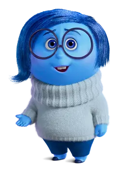 <p>Sadness</p>