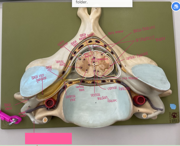 <p>What is being shown? </p>
