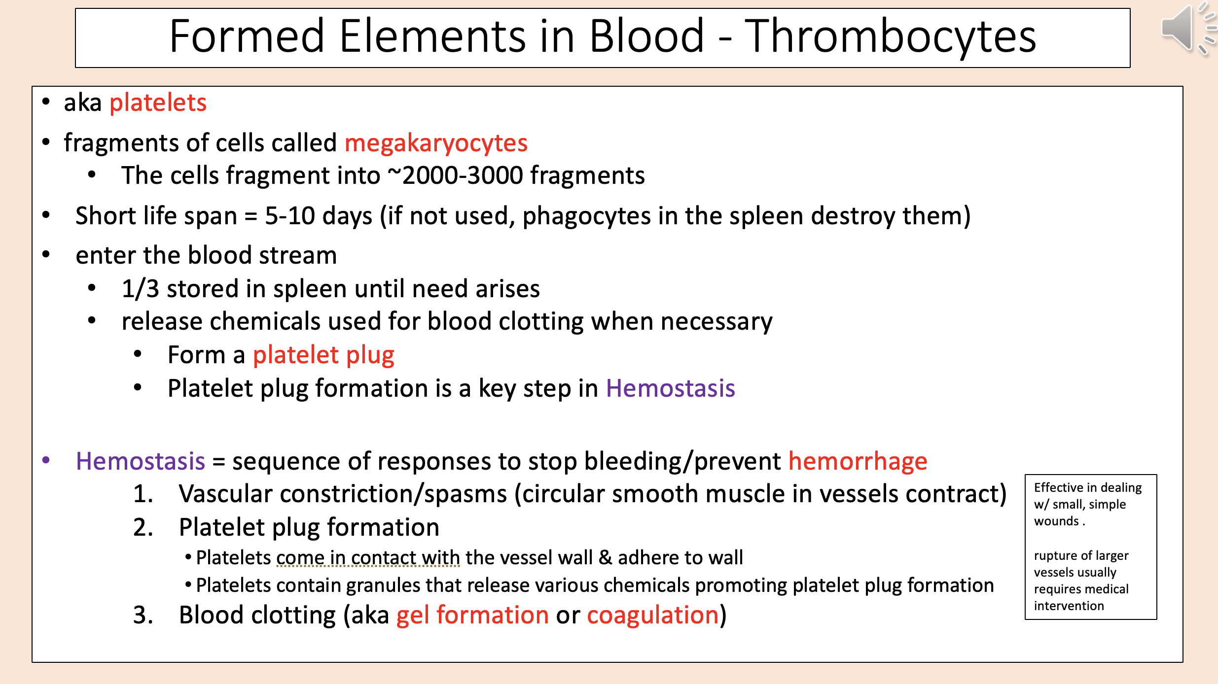 <p>vascular constriction/spasms.</p><p>platelet plug formation.</p><p>blood clotting. </p>