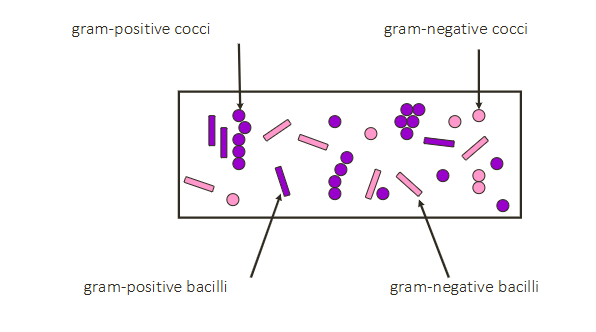 <p>DIAGRAM ON SLIDE 23</p>