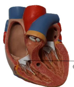 <table style="min-width: 25px;"><colgroup><col style="min-width: 25px;"></colgroup><tbody><tr><td colspan="1" rowspan="1" style="height: 19pt; width: 249pt;"><p></p></td></tr></tbody></table><p></p>