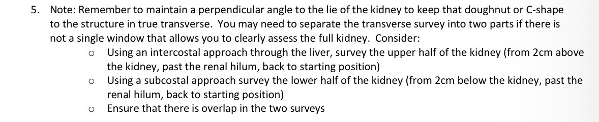 <p>Turn the probe 90 degrees to the longtudinal axis of the kidney and begin the transverse survey. Angle the probe approximately 2 cm above the level of the upper pole of the kidney. Survey inferiorly until clear of the kidney by about 2 cm, then survey back up to starting position above the kidney. </p>