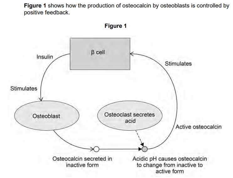 <p>Binding of insulin leads to an increase in the rate of respiration in cells such as osteoblasts. </p><p>Explain how</p>