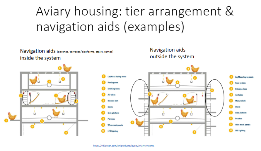 <p><strong>Tier 1</strong><br>āGround floor</p><p><strong>Navigation Aids ā Inside the System</strong><br>ā<strong>Perches</strong>, <strong>terraces/platforms</strong>, <strong>stairs</strong>, <strong>ramps</strong></p><p><strong>Navigation Aids ā Outside the System</strong><br>āExternal structures that help birds <strong>access tiers safely</strong></p>