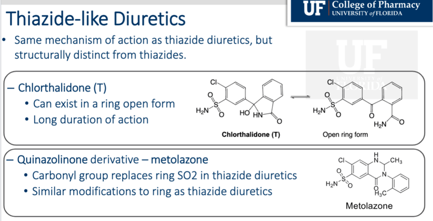 <p>- Include chlorthalidone, metalazone and indapamide (indapamide cannot be used with CCBs) </p><p>- Have only 1 sulfonamide with some of the other characteristics</p>