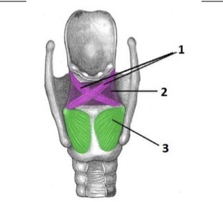 <p>1</p>