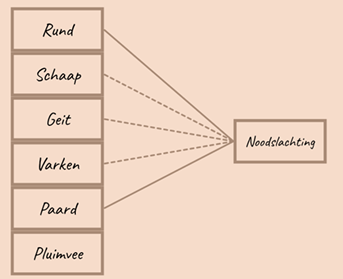 <p>= het slachten van van voor de rest gezonde dieren die door een ongeval en welzijnsredenen niet levend naar het slachthuis getransporteerd kunne worden</p><ul><li><p>alleen bedwelmen, kelen en verbloeden</p></li><li><p>alleen voedselproducerende dieren</p></li></ul><p>voorwaarden</p><ol><li><p>dier moet plots, onverwachts ongeval hebben gehad</p></li><li><p>dier moet gezond zijn op ogenblik van ongeeval</p></li><li><p>het dier is om welzijnsredenen niet geschikt voor transport</p></li></ol><p></p>