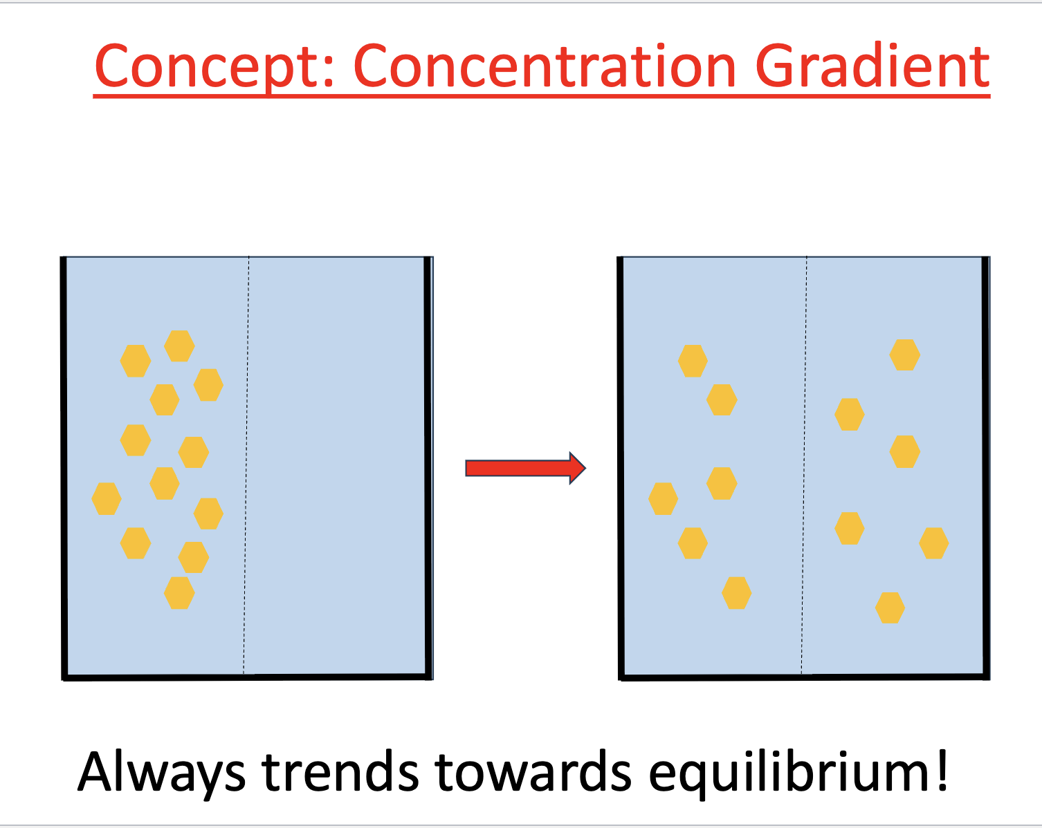 <p>always trends toward equilibrium</p><ul><li><p>concentration gradients of molecules on sides of membranes</p></li></ul><p></p>
