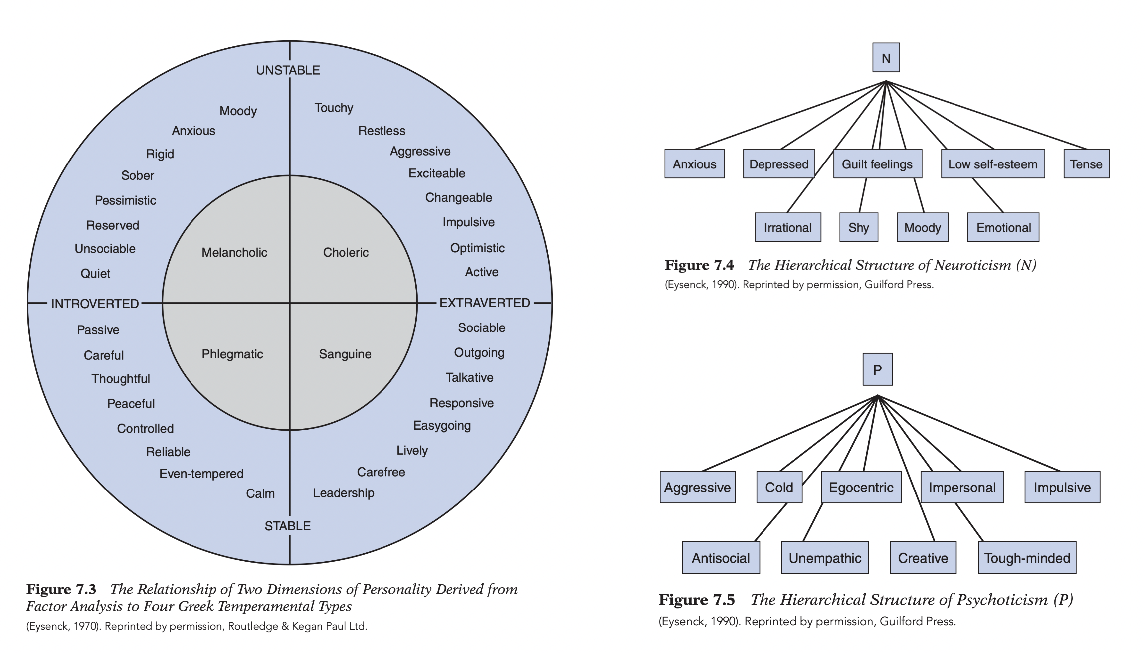 <p><strong>Hans J. Eysenck (Biological trait theory)</strong></p><ul><li><p>Goal = (1) simplify <strong>Cattell’s 16-factor model</strong> into a <strong>parsimonious, </strong>(2) <strong>biologically grounded</strong> theory; biological explanation needed to (3) avoid <strong>circular explanations</strong> <em>(trait inferred from behavior → same trait used to explain behavior)</em>.</p></li><li><p class="p1"><strong>Personality structure</strong>; <strong>secondary factor analysis</strong> <em>(factor-analyzes correlations among first-order factors → higher-order factors)</em> → <strong>3 independent superfactors</strong> <em>(highest-order dimensions)</em>: </p><ul><li><p class="p1">(1) <strong>Extraversion (E)</strong> <em>(sociability, activity, liveliness)</em>, (2) <strong>Neuroticism (N)</strong> <em>(anxiety, moodiness, shyness)</em>, (3) <strong>Psychoticism (P)</strong> <em>(aggressiveness, coldness, impulsivity)</em>;</p></li><li><p class="p1">Hierarchy = <strong>specific responses → habitual responses → traits → superfactors</strong> + Related <strong>Greek temperaments</strong> to combinations of <strong>E + N</strong>, suggesting long-standing, biologically based personality variation.</p></li></ul></li></ul><p class="p1"></p><ul><li><p class="p1"><strong>Measurement</strong>;</p><ul><li><p class="p1">(1) <strong>Eysenck Personality Questionnaire (EPQ)</strong> <em>(self-report of E, N, P),</em></p></li><li><p class="p1">(2) <strong>Lie Scale</strong> <em>(detects socially desirable responding/faking),</em></p></li><li><p class="p1">(3) <strong>objective behavioral tests</strong> <em>(e.g., lemon drop test measuring salivation differences / differences between I + E!)</em> to support biological foundations.</p></li></ul></li></ul><p class="p1"></p><ul><li><p class="p1"><strong>Biological explanation</strong>; traits correspond to <strong>underlying biological systems</strong> rather than merely describing behavior (see research on E/I, N, P!)</p></li><li><p class="p2"><strong>Psychopathology</strong>; disorders = (a) <strong>biological predispositions × </strong>(b) <strong>learning experiences</strong>;</p><ul><li><p class="p2"><strong>high N</strong> → neurotic disorders;</p></li><li><p class="p2"><strong>high P + N + E</strong> → criminal/antisocial behavior <em>(weaker learning of social norms)</em>; despite genetic influences</p></li><li><p class="p2">BUT <strong>behavior therapy </strong>effective because learning can modify behavior!</p></li></ul></li><li><p class="p3"><strong>Evaluation</strong>; strengths = <strong>scientific rigor</strong>, <strong>biological orientation</strong>, <strong>parsimonious model</strong>, major influence on modern personality psychology</p><ul><li><p class="p3">Limitations = <strong>mixed support</strong> for biological mechanisms <em>(especially N/P)</em>, <strong>better contemporary models</strong>, possible <strong>isolation</strong> of his research tradition, <strong>3 superfactors may be insufficient</strong> to capture full personality complexity.</p></li></ul></li></ul><p></p>