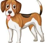 <p>What is ONE (of the many) ways someone could get a tapeworm?</p>