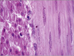 <p>What does this image show?</p>